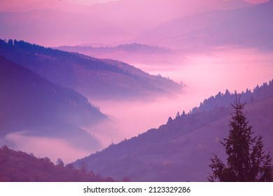 Beautiful mountains during sunset. Trendy in 2022 year Velvet Violet color. Carpathian mountains, Ukraine, Europe - Powered by Shutterstock