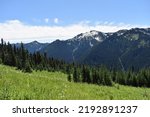Beautiful mountains and lush green grasslands and forest as seen from White Pass Pilot Ridge trail within the Snoqualmie National Forest of Washington state. 