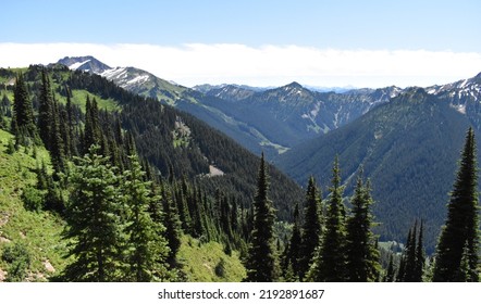 Beautiful mountains and lush green valleys as seen from White Pass Pilot Ridge trail within the Snoqualmie National Forest of Washington state. 