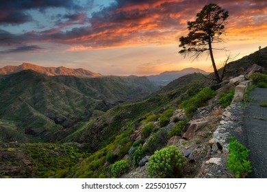 Beautiful mountains on the island of Gran Canaria in Spain at sunset. - Shutterstock ID 2255010577