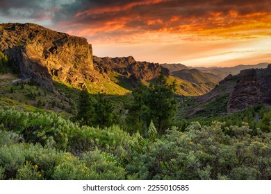 Beautiful mountains on the island of Gran Canaria in Spain at sunset. - Shutterstock ID 2255010585