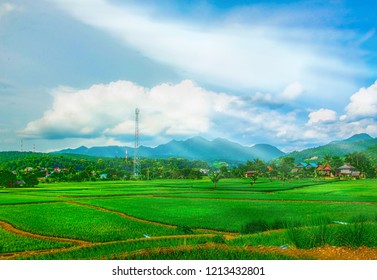 Beautiful Mountian And Blue Sky And Rice Fields In Thailand