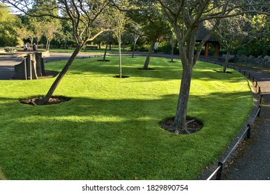 Beautiful mulch tree circles on the lawn in St. Stephen's Green Park in the autumnal morning, Dublin, Ireland