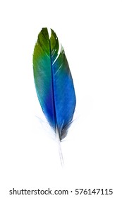 Beautiful Multicolored Colorful Parrot Feather On Stock Photo 576147115 ...