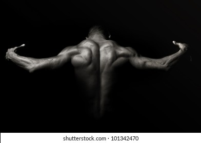 Beautiful And Muscular Black Man's Back In Dark Background