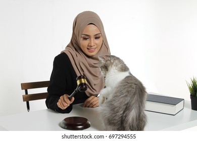 Beautiful Muslim Woman Judge Wear Hijab Striking The Gavel On A Desk With Her Lovely Cat Pet. Justice And Law Concept.