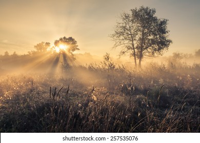 Beautiful Mystical Landscape In Yellow Orange And Red Colors At Sunrise