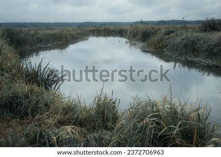 The beautiful Narew River - located in Podlaskie, Poland. Another place worth visiting.