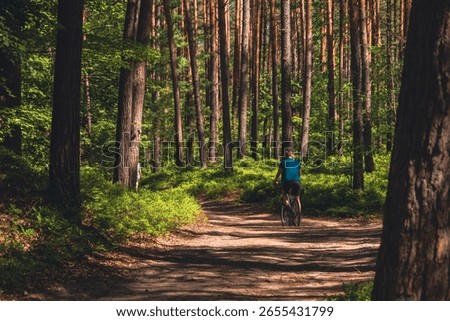 A beautiful narrow path through a forest with a cyclist in Poland