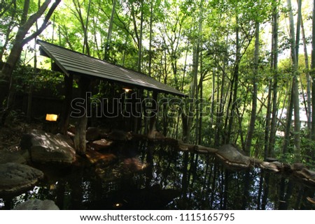 Beautiful and natural bamboo forest with a pool of hot spring water in the bottom, Kurokawa Onsen, Kyushu, Japan, Asia