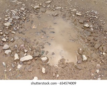 Beautiful natural environment. Natural textures. Puddle of water.