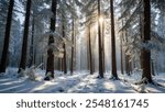 A Beautiful Natural Forest with Snow