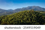 Beautiful natural landscape of the forest mountains in the summer time. Rainforest ecosystem, forested mountain. Natural scenery tropical green forest. Travel photo, nobody