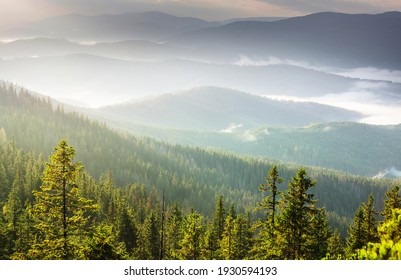 Beautiful natural landscapes in Carpathian mountains - Shutterstock ID 1930594193