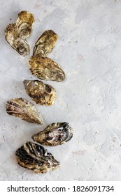 Beautiful and natural oyster shells