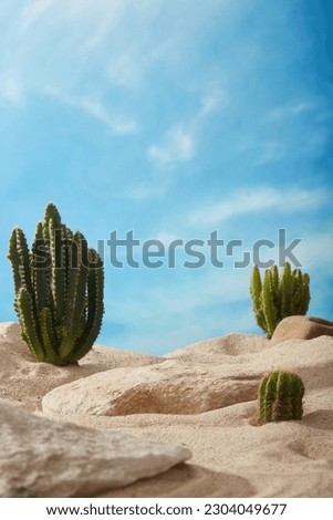 Beautiful natural scenery of blue sky background with Cacti displayed on the beach sand. Blank space in the middle for cosmetic product presentation