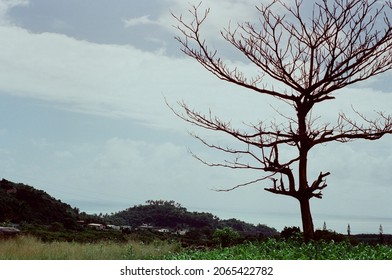 
Beautiful Natural Scenery Located In Taitung City