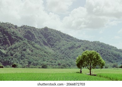 Beautiful Natural Scenery Located In Taitung City