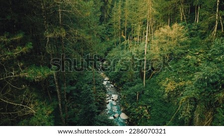 Beautiful natural scenery of river in southeast Asia tropical green forest, aerial view drone shoot. Tropical jungle with river. Tropical rain forest in Indonesia. Tropical jungles of Southeast Asia