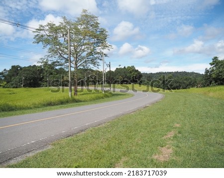 Beautiful natural scenery is a side road with green fields, trees and sky.
