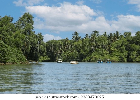 Beautiful natural views while passing through the backwaters of Poovar Backwaters.