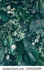 Beautiful nature background of vertical garden with tropical green leaf - Shutterstock ID 2199210289