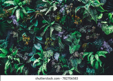Beautiful nature background of vertical garden with tropical green leaf