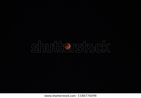 The beautiful nature, blue blood moon\
in the dark sky with the silhouette of a branch of trees.\
The full\
moon with red, orange and white\
colors.
