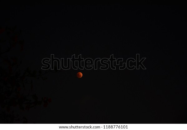 The beautiful nature, blue blood moon in the dark\
sky with the silhouette of a branch of trees.\
The full moon with\
red and orange colors.