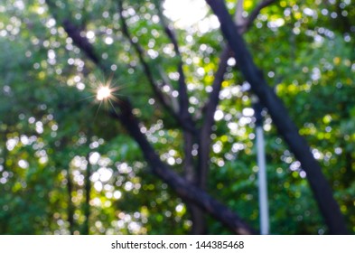 Beautiful Nature Bokeh.Blurred background - Shutterstock ID 144385468