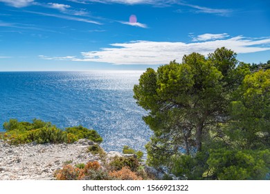 Beautiful nature of Calanques on the azure coast of France. Coast En Vau near in South France. - Shutterstock ID 1566921322