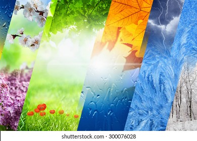 Beautiful nature collage - four seasons of year collage, vibrant images of different time of year - winter, spring, summer, autumn