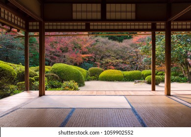 Beautiful Nature Colourful Tree Leaves In Japanese Zen Garden In Autumn Season At Kyoto,Japan.