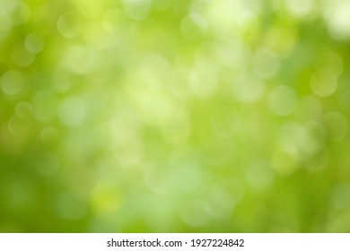 Beautiful Nature Defocused Bokeh Green Background, Texture. Blurred Crown Trees In Garden Close-up. Natural Spring Backdrop With Copy Space For Design