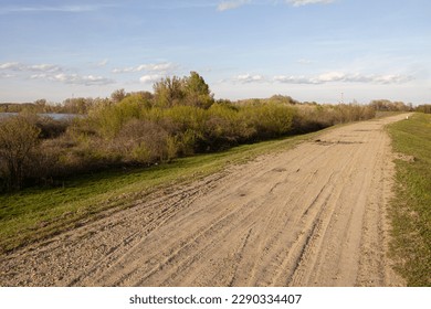 Beautiful nature dirt road with grass and sunny day with blue sky. - Powered by Shutterstock