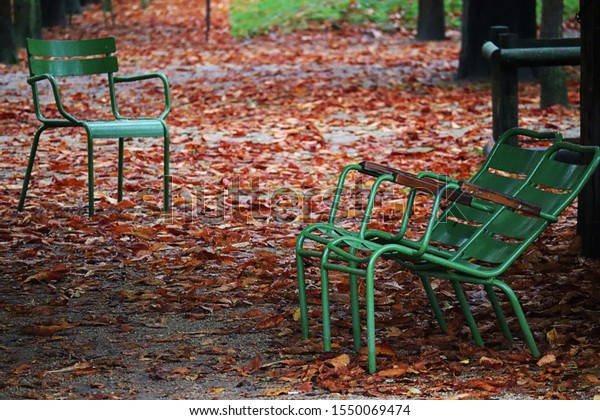 Beautiful nature during
Autumn in Paris.