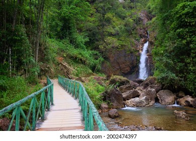 153,448 Wooden Bridge Forest Images, Stock Photos & Vectors | Shutterstock