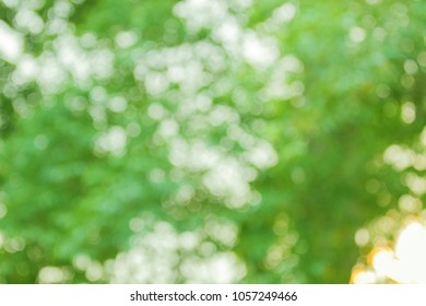 Beautiful nature, green background, round bokeh - Shutterstock ID 1057249466