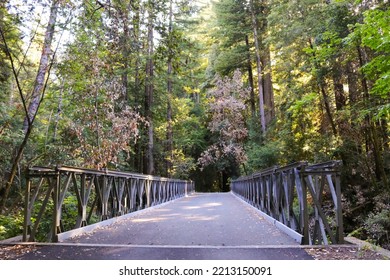 Beautiful Nature Hike At A California State Park. 