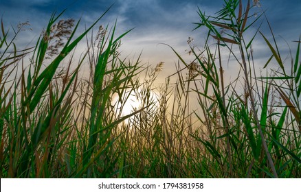 11,355 Qatar summer Images, Stock Photos & Vectors | Shutterstock