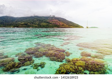 Beautiful Nature Landscape Clear Green Sea Stock Photo 1452618923 ...