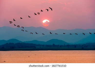 Beautiful nature landscape at dawn silhouette birds flock flying in a row over lake water sun on the colorful sky during sunset over the mountains for background at Krasiao Dam, Suphan Buri, Thailand