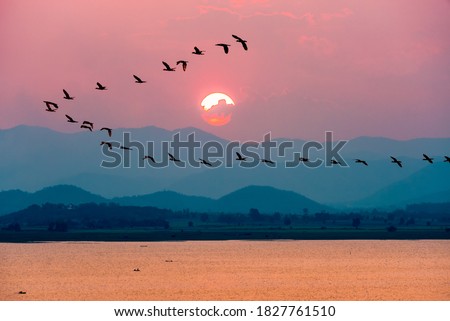 Beautiful nature landscape at dawn silhouette birds flock flying in a row over lake water sun on the colorful sky during sunset over the mountains for background at Krasiao Dam, Suphan Buri, Thailand