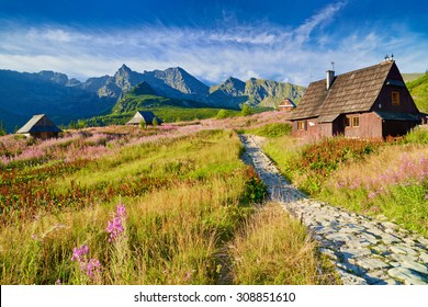 Beautiful nature landscape Gasienicowa Valley High Tatra Mountains national park. Carpathians, Poland - Shutterstock ID 308851610