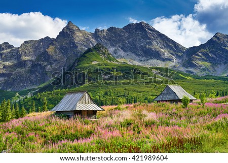 Beautiful nature landscape Gasienicowa Valley High Tatra Mountains national park Carpathians Poland spring summer blue sky clouds green trees countryside grass field flowers Foto stock © 