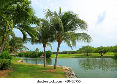 Beautiful nature landscape. Green palm trees, plants and lake water. Bad weather is on the way. Windy. Aruba island. Nature background. - Powered by Shutterstock