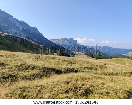 Similar – Foto Bild Spaziergang auf der Alm