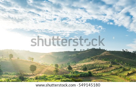 beautiful nature landscape with sunset at the mountain and green tree.