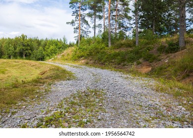 Beautiful nature landscape view of gravel road in forest. Sweden.