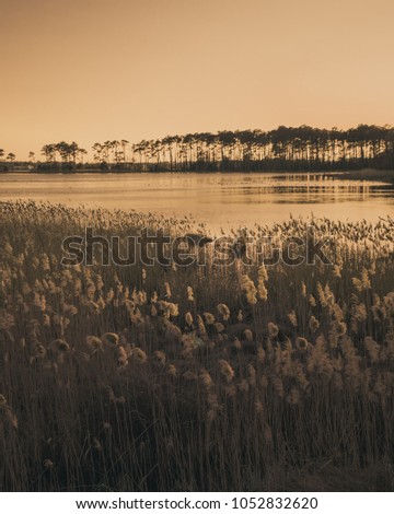 Similar – Morgensonne scheint auf den Dunst über einem See